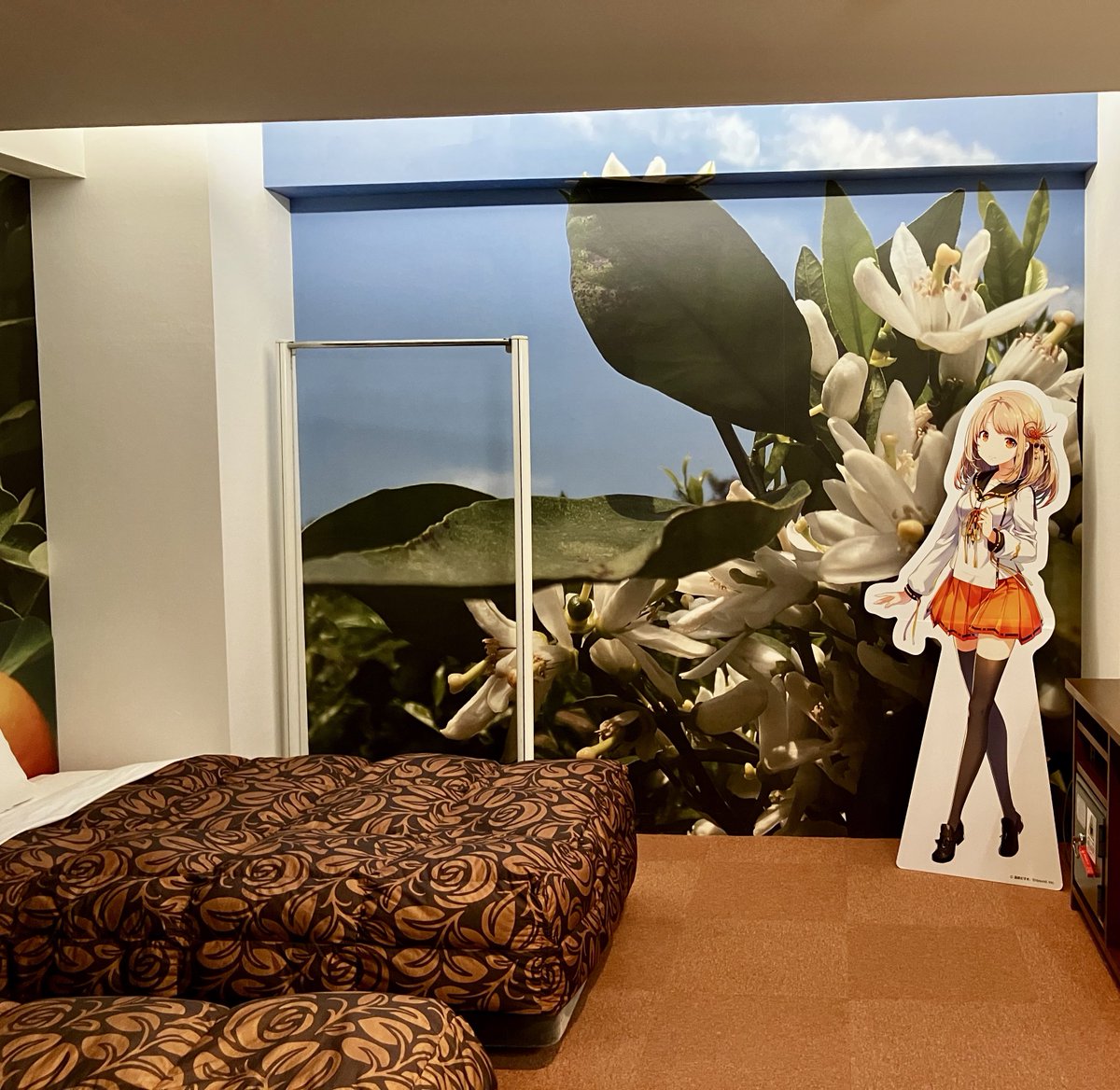 ﾏｾｶﾜ ｷﾁヱﾓﾝ tweet media