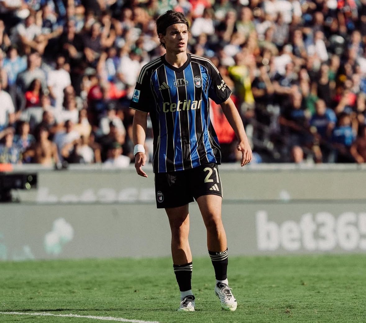 MondoPrimavera tweet media