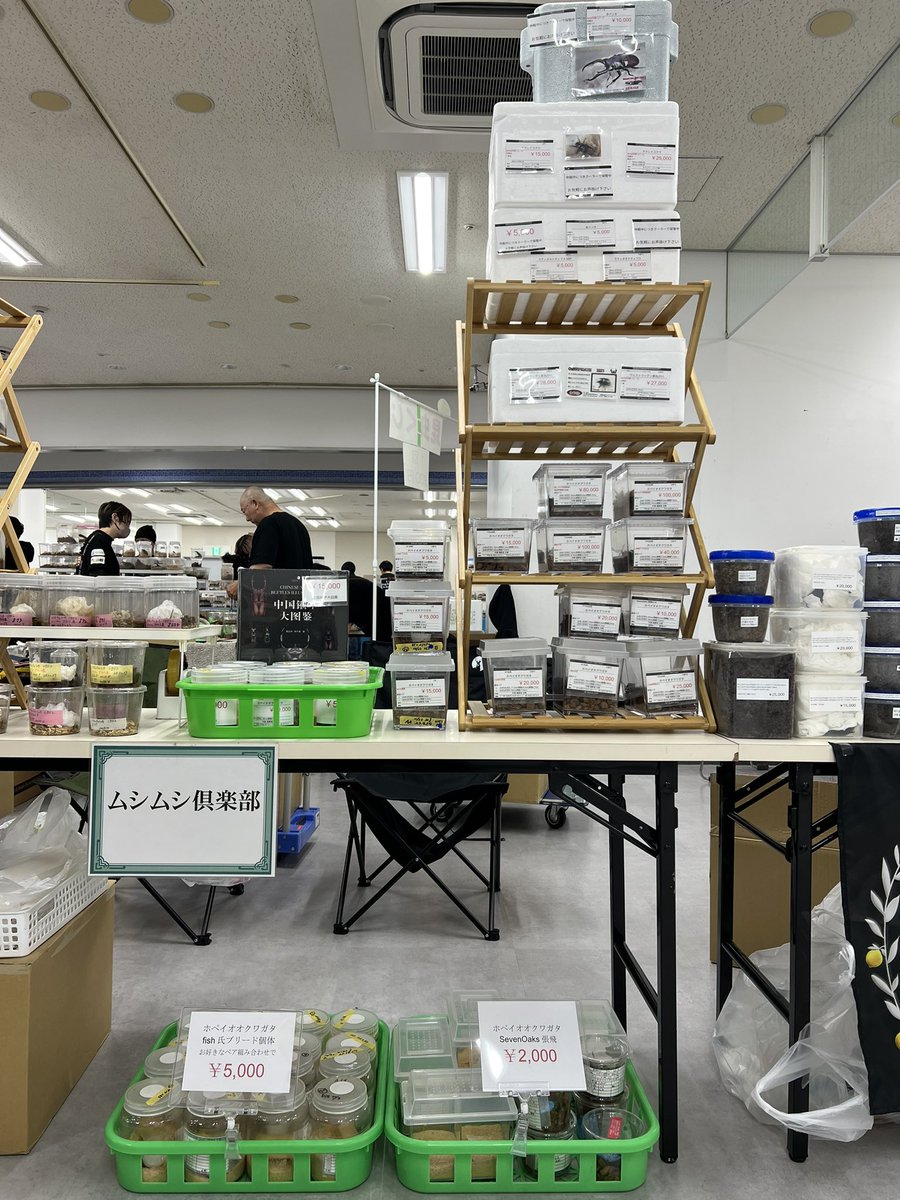 ヒッポファミリークラブ CD61枚 ヒッポファミリークラブ／カバジン英語