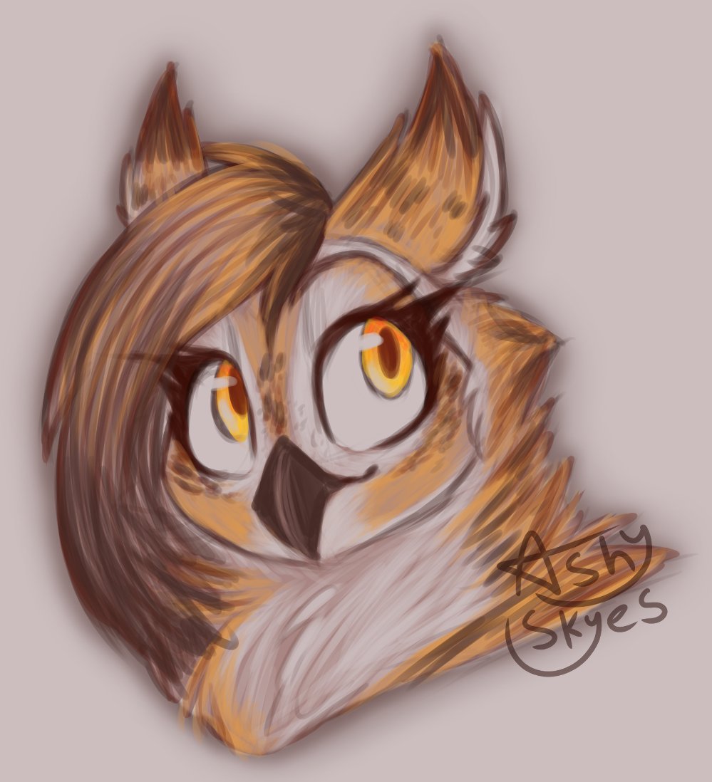 ashyskyes_'s tweet image. doodled an owl :3