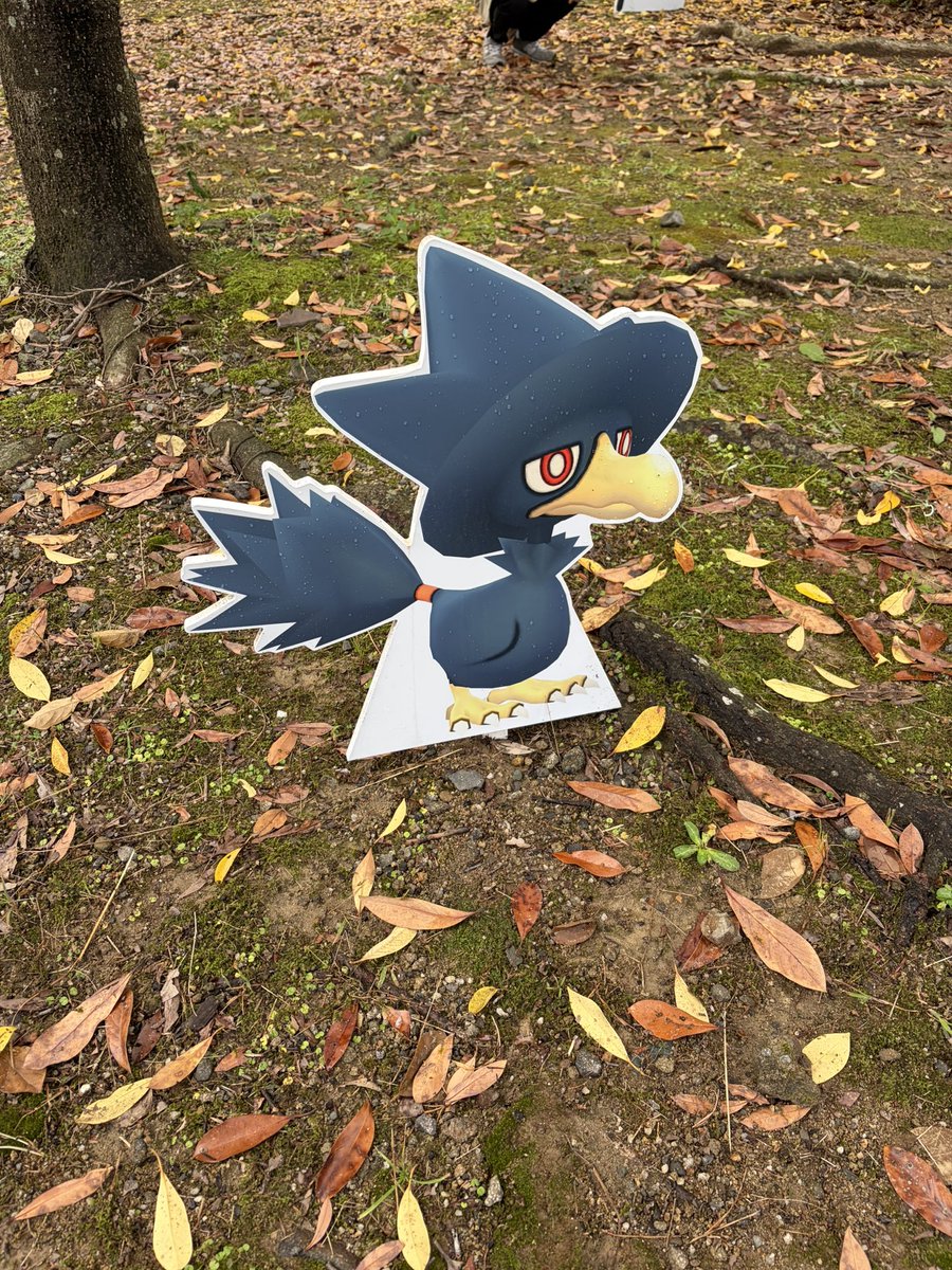 ヤミカラスだよ。けいぼんさん😸