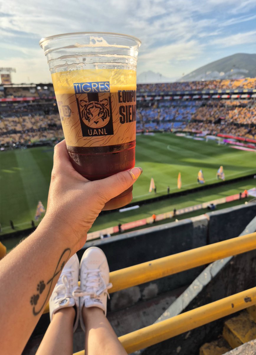 Que bonito ser de Tigres 💙💛