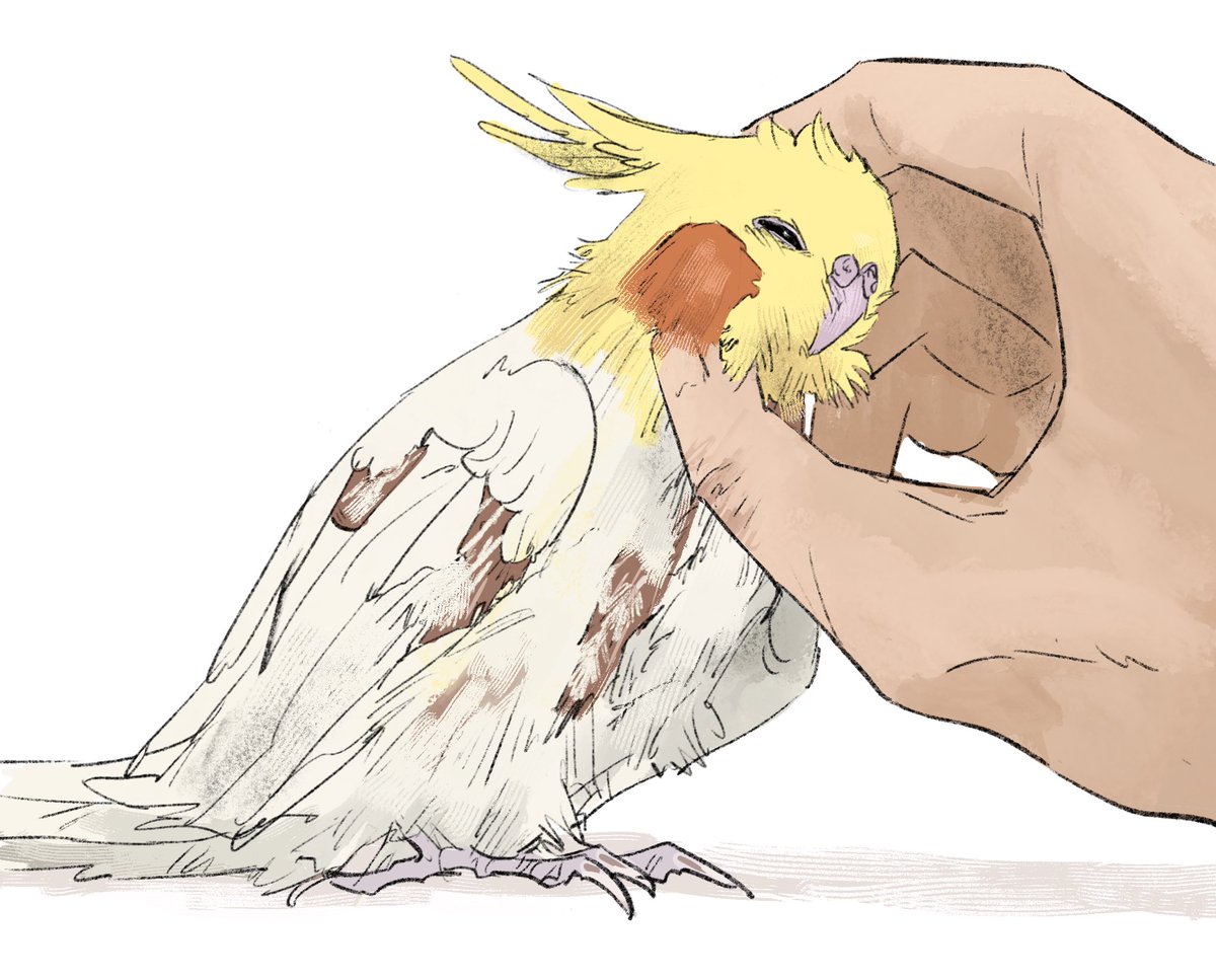 だめだめだめだめだめですだめだめ救われて救われて救われて救われて