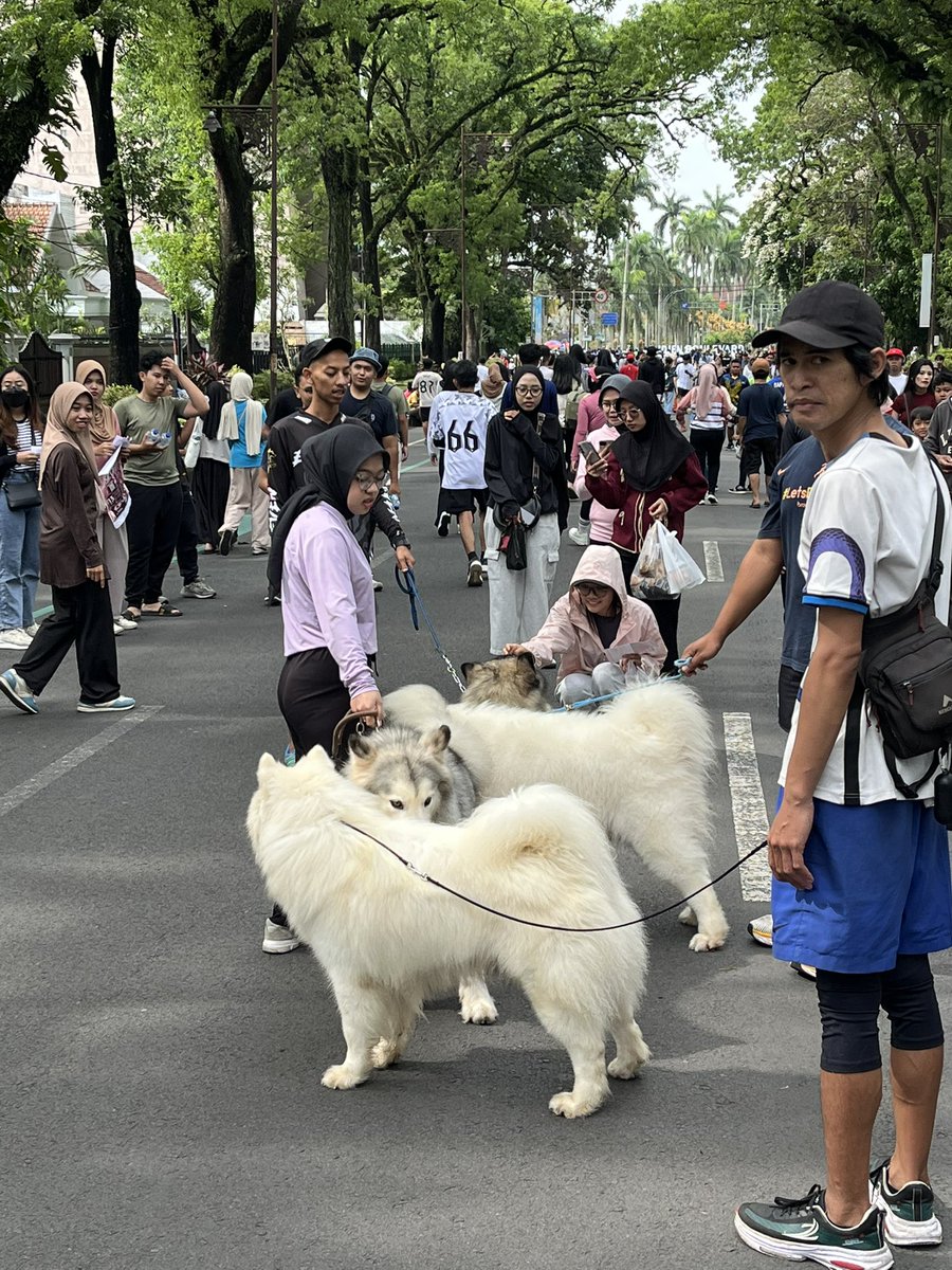 alkunacg's tweet image. cfddd idjennnn