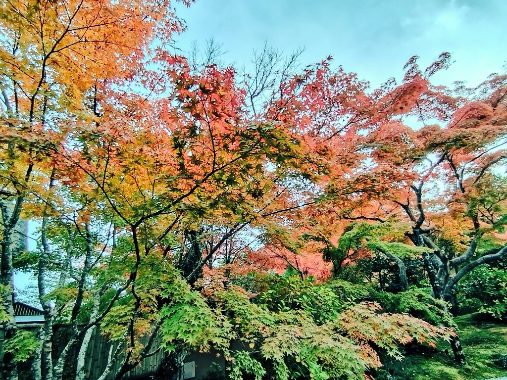 🏃ブタ男 ブヒヒィーブーヒー on X