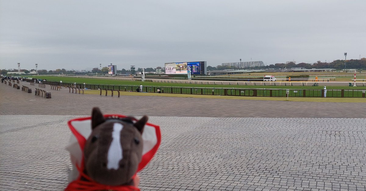 ポットからアリスうさぎちゃん♥️ アリス🏇🎮️ on X