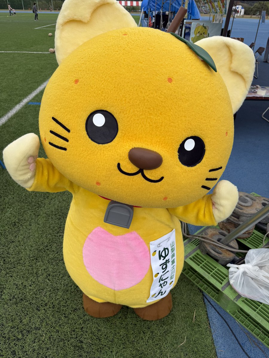 🐱ゆずにち 今日も笑顔で楽しむにゃ🐱💛 #富士川町 #ゆずにゃん