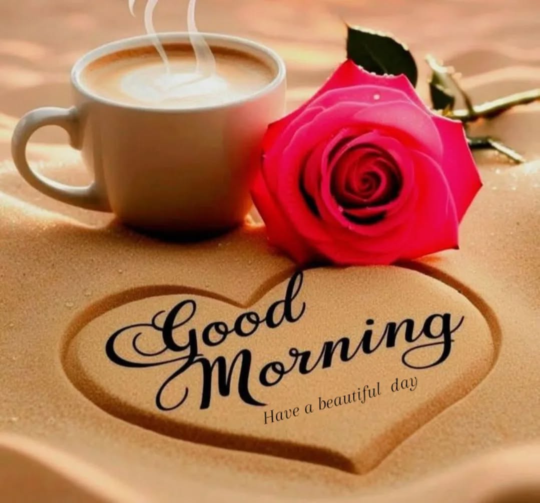 हमेशा दूसरों को रोशनी देने की कोशिश करो,
क्योंकि दीपक बनकर ही अंधेरा मिटाया जा सकता है।
 अच्छाई फैलाओ, यही सबसे बड़ा ज्ञान है।
Good morning