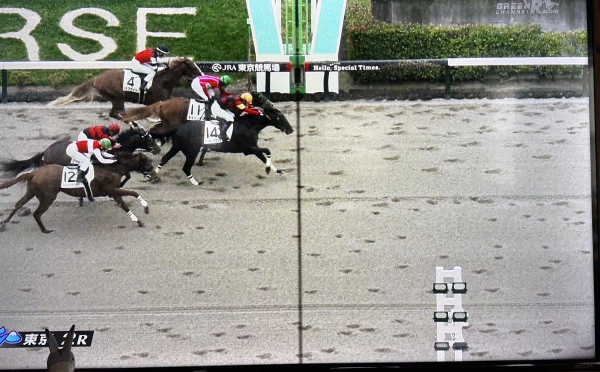 oumanobaketu's tweet image. ビッキーセカンドは4着で初の掲示板。徐々に良くなってきてるのかな。