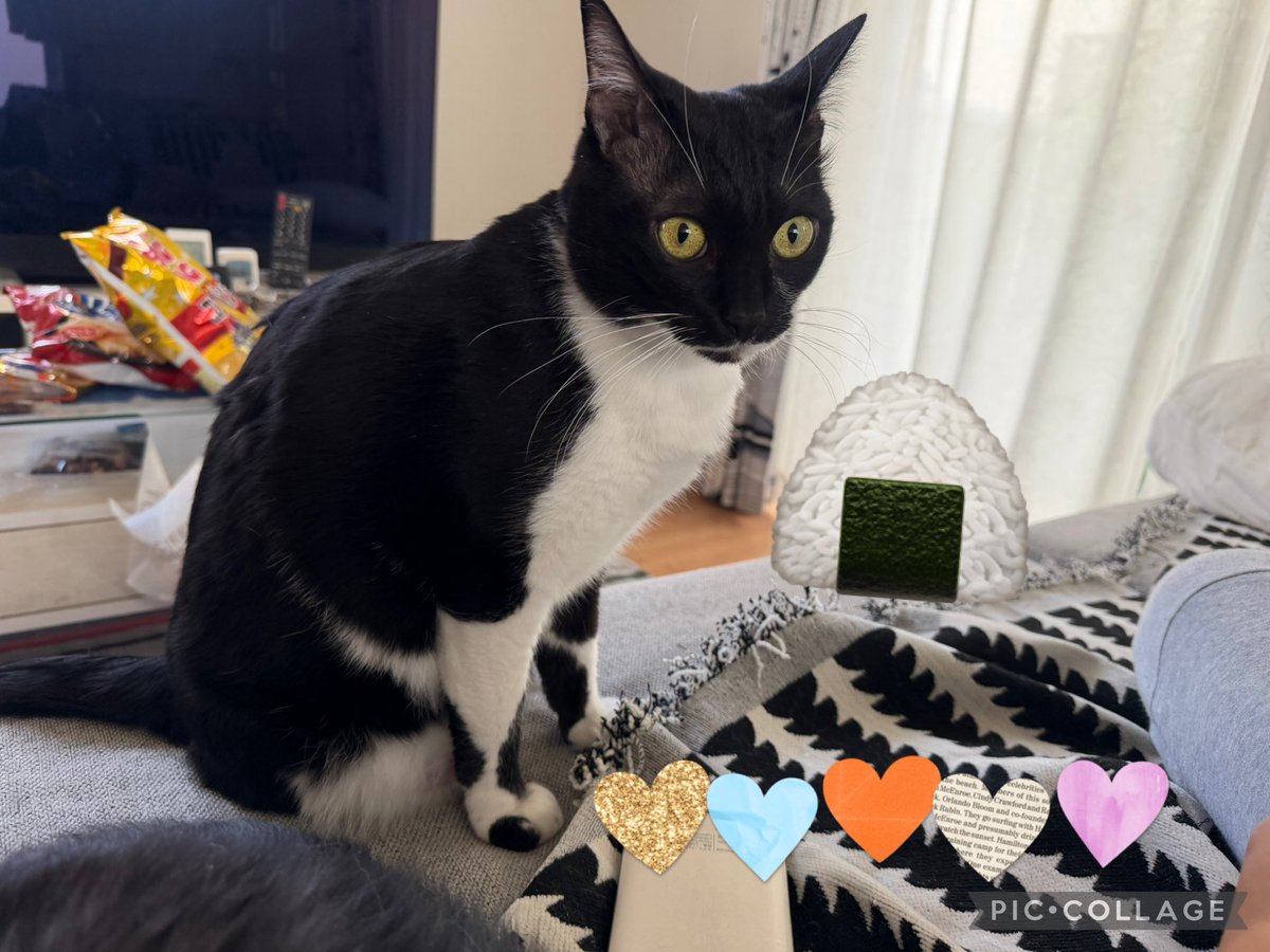 ピョンキチページ ぴょん吉🐼💚 (@Pyonkichi_NiziU) / Posts / X