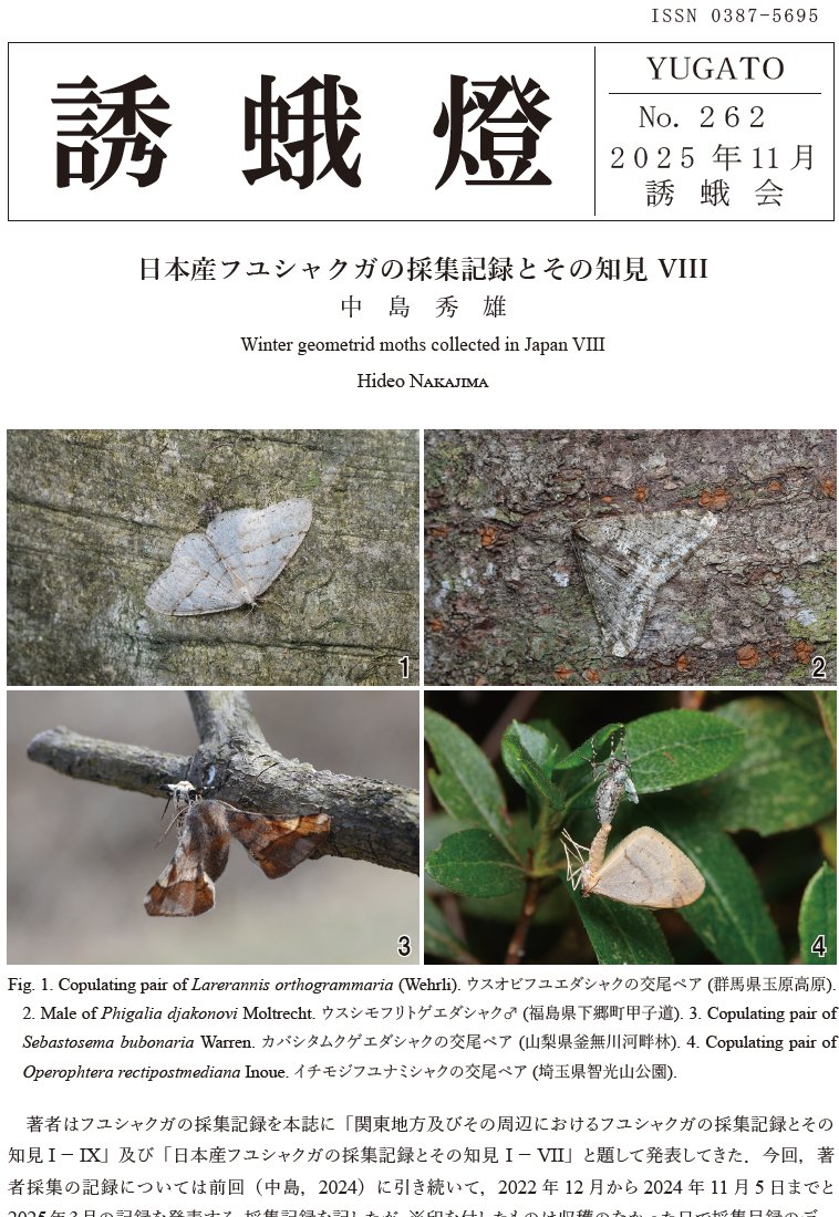 Eupithecia_moth's tweet image. 事務局です．262号が発行されました．先週末発送したので月曜以降に会員のお手元に届くものと思います．表紙はフユシャクです．どの種も美しいですが，やはりカバシタは群を抜いてますね．．．他報文では愛知県の記録が多めな気もしますが，北海道から沖縄まで，17報文を載せることができました．