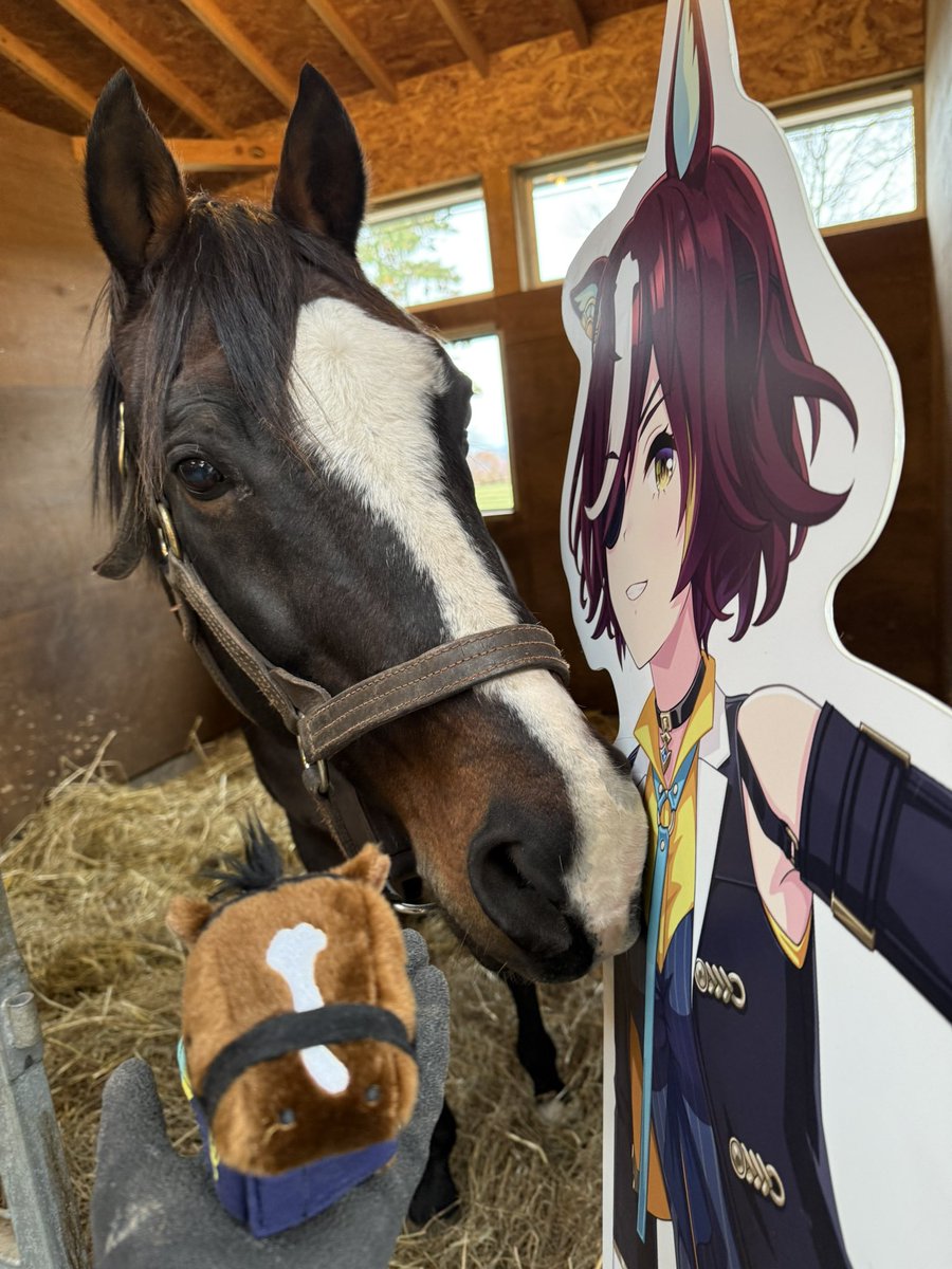 Versailles_Farm's tweet image. 🎁Chiigurumi Reward Sample Has Arrived!🎉

The sample of our Chiigurumi plush has just arrived🐴✨
We took a photo together with Tanino Gimlet himself
and his Uma Musume panel📸

It’s small, but full of Gimlet’s unique charm🐴💚

Our crowdfunding is now live!🔥
Along with the…