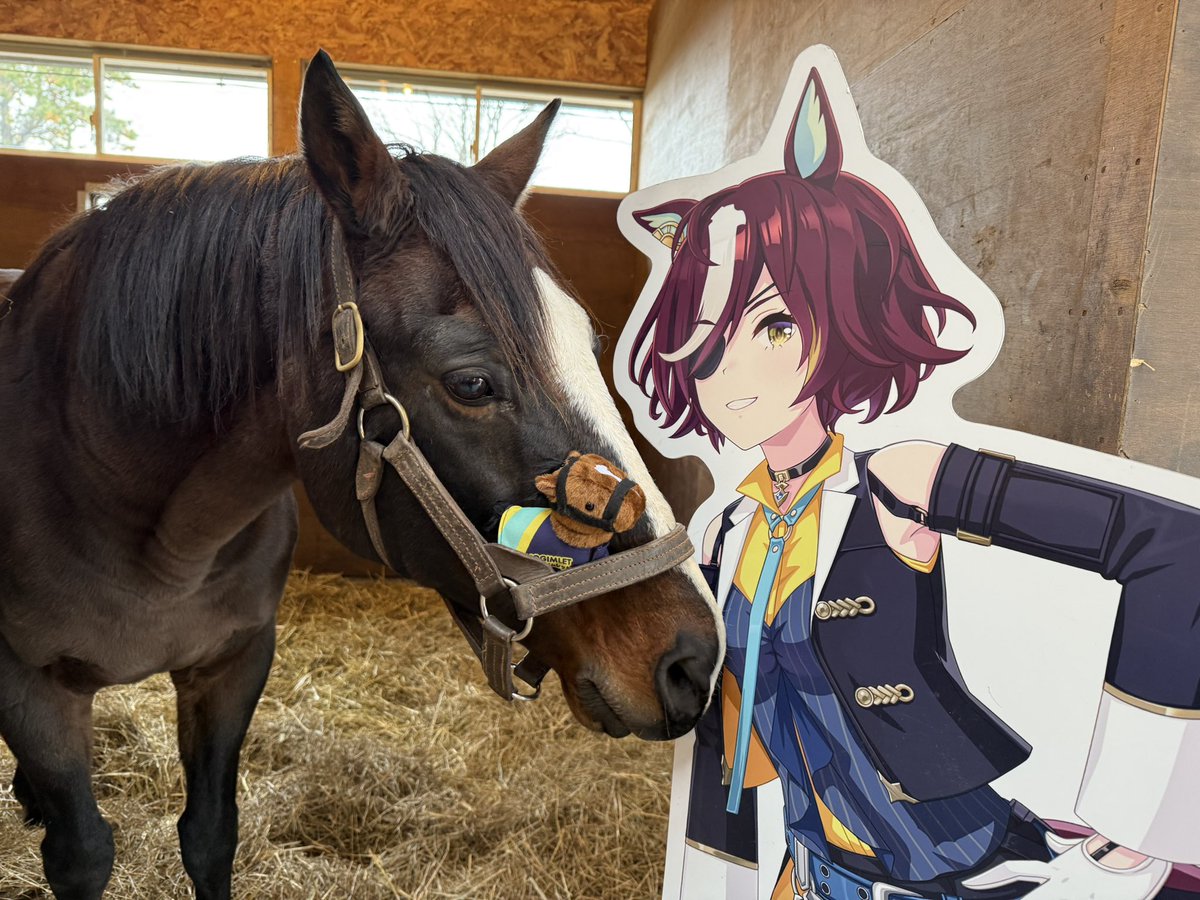 Versailles_Farm's tweet image. 🎁Chiigurumi Reward Sample Has Arrived!🎉

The sample of our Chiigurumi plush has just arrived🐴✨
We took a photo together with Tanino Gimlet himself
and his Uma Musume panel📸

It’s small, but full of Gimlet’s unique charm🐴💚

Our crowdfunding is now live!🔥
Along with the…