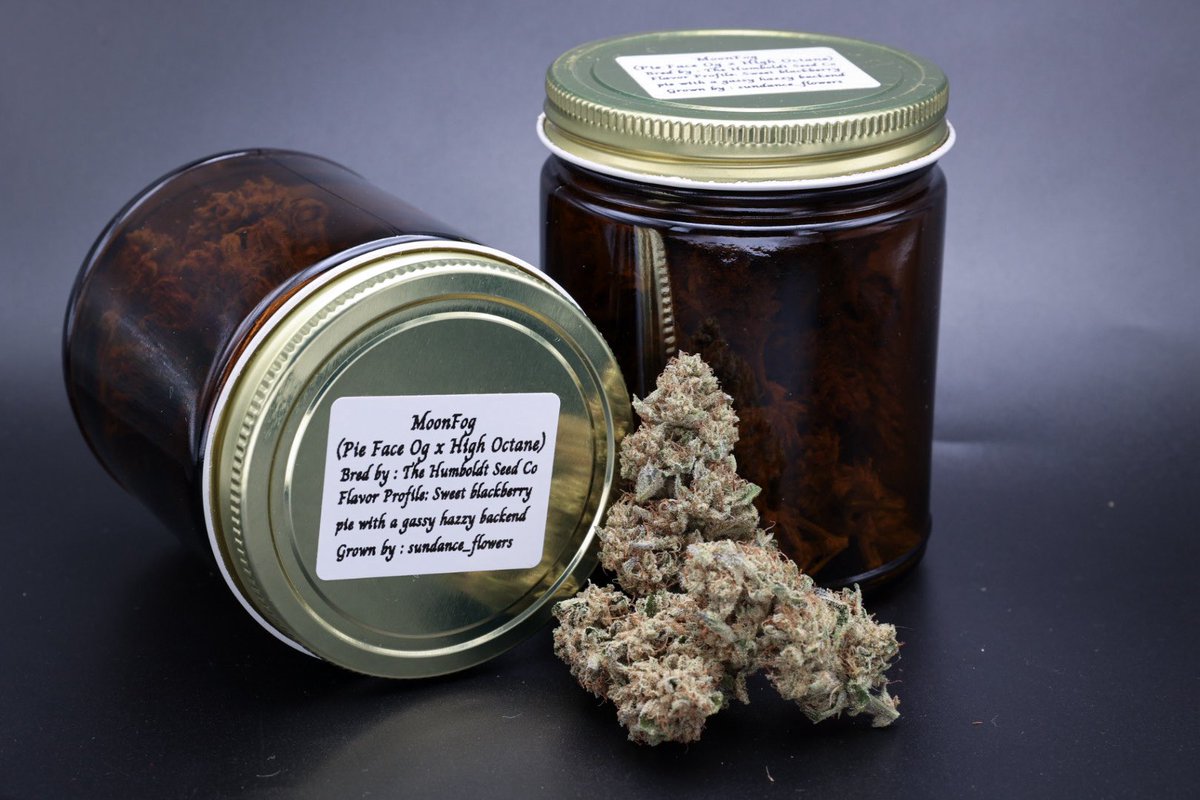 FoggedUpGlass_'s tweet photo. Been working behind the scenes with the homies at Sundance Flowers to bring some amazing flower at an even more amazing ticket. 

The Moonfog 🌙 really has my attention at the moment. Tasting notes are accurate af. You know where you’ll be able to check these out at 👀 

@obf415 @obf415 @obf415