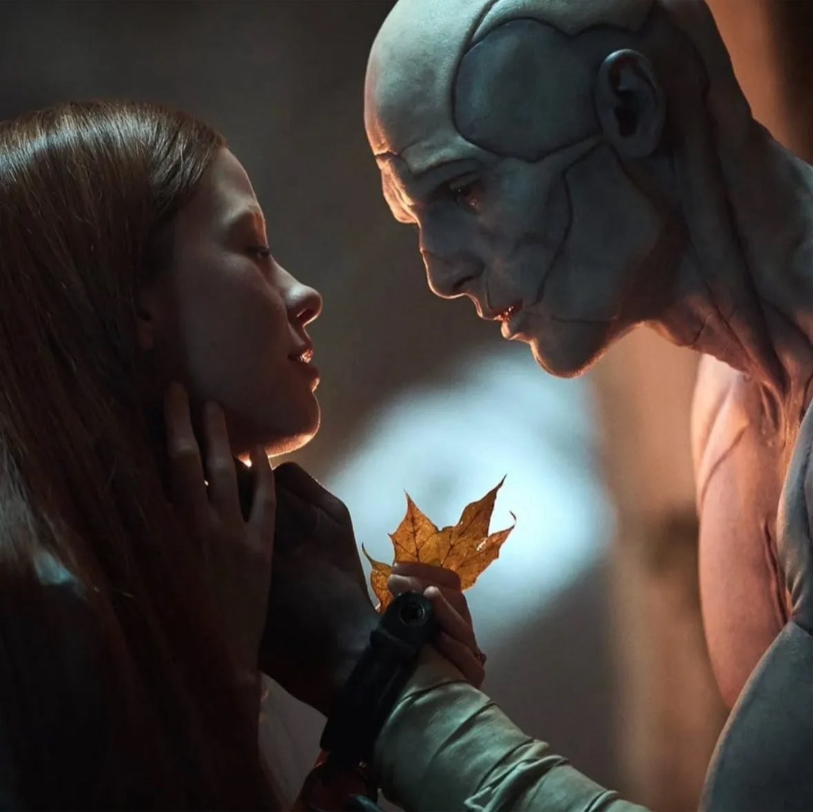 spookyxxboobs's tweet photo. “i needed this” and it’s just a 6’5 creature with a leaf and a heart of gold https://t.co/mDpK4lARvo