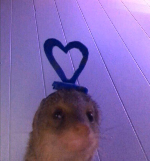 MissCheeviousVT's tweet image. Will you Brie mine ?