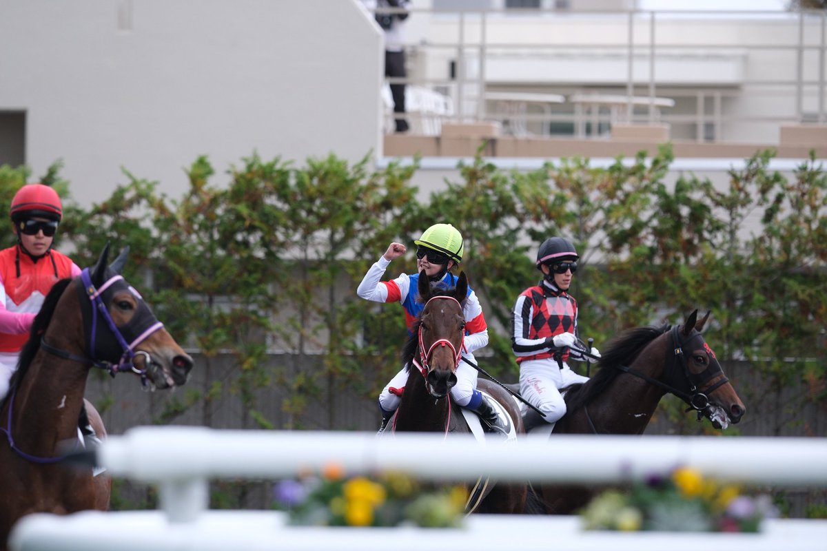 E7%9F%A2%E4%BD%9C%E5%8E%A9%E8%88%8E