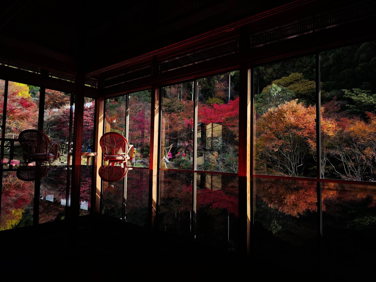 reject_dispute's tweet photo. 山頂部の紅葉は満足したので次は渓谷とか平野部の紅葉やね🍁 今年はFX8UとGT8Pで撮るぞ📸
#Xiaomi14Ultra #magic7pro https://t.co/DjRnV5G4hS