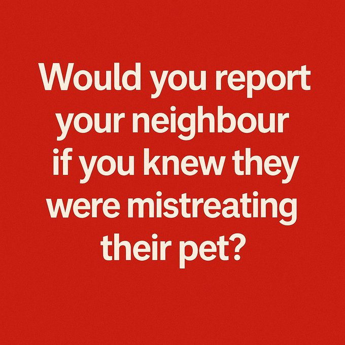 tracey_13085460's tweet image. Would you? 

   (I would)