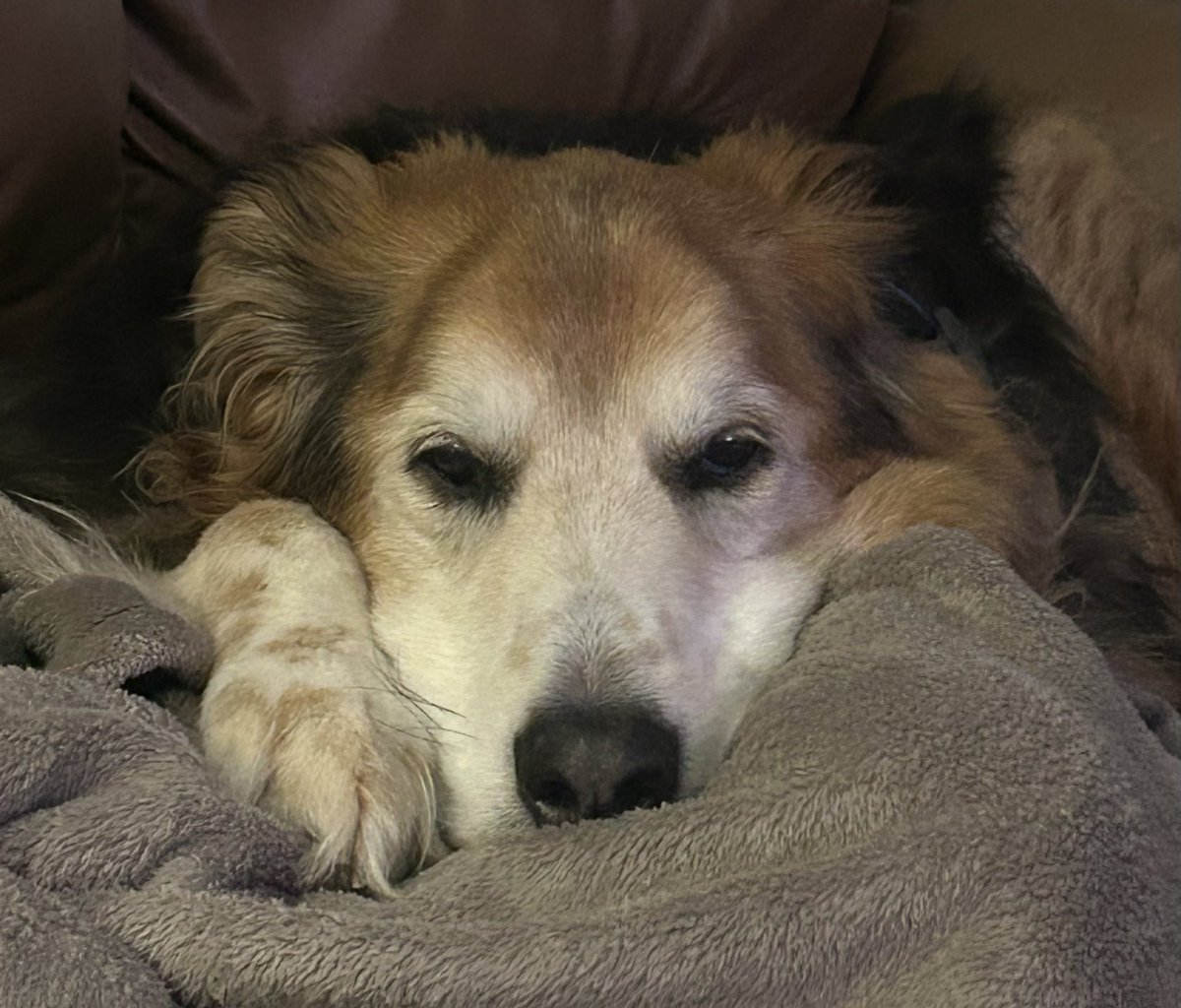 He’s got that old white face but he’s still a good looking dude