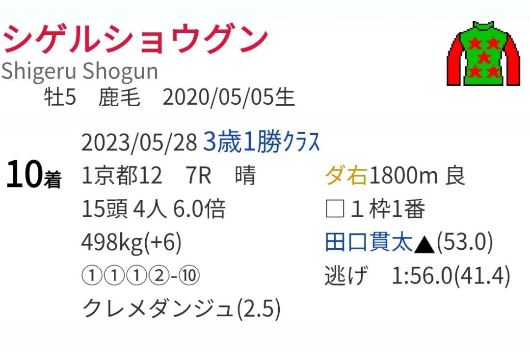 競馬 実使用ゼッケン GⅡ ラブリーデイ Yahoo!オークション -「競馬