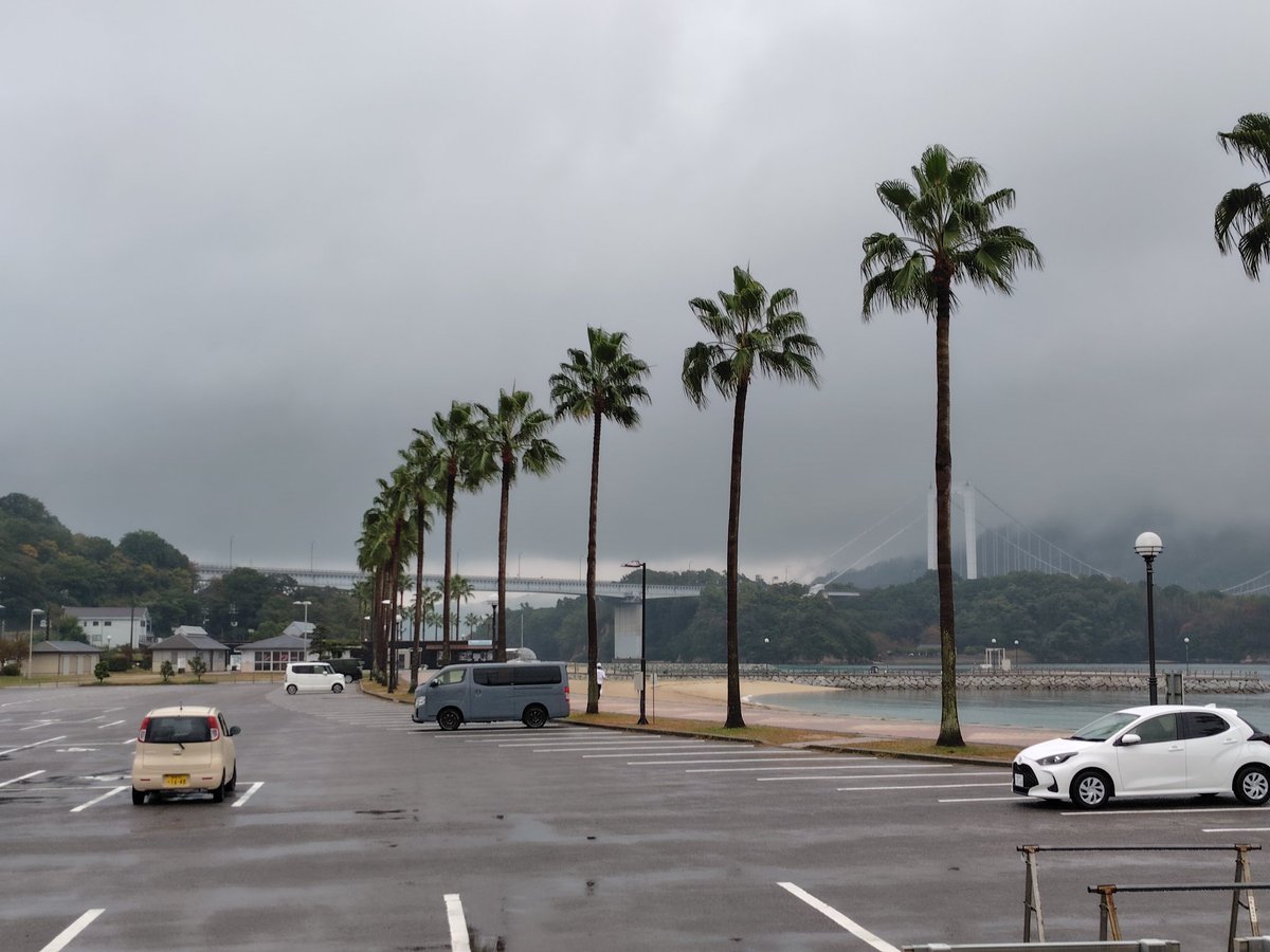 Goushou_S's tweet photo. 本日は雨天🌧️
道の駅で雨宿り中
璃の香レモンなる面白いものを見つけたので夜用に購入
リスボンレモンと日向夏の交配種とのこと
リスボンの恋人達？ https://t.co/nfqzFEDulE
