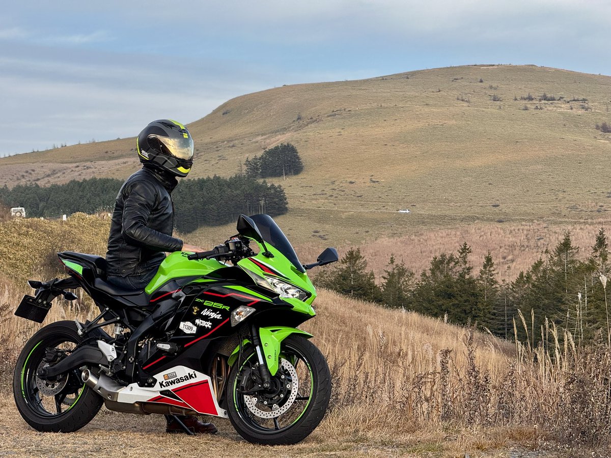 わびです⭐︎ adidas WHITWORTH SPZL GREONE/GRETWO/CLONIX（アディダス ウィット