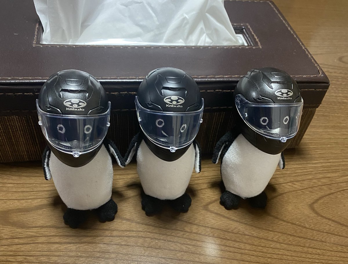 きんにくこ (@88ganaiyo) / Posts / X