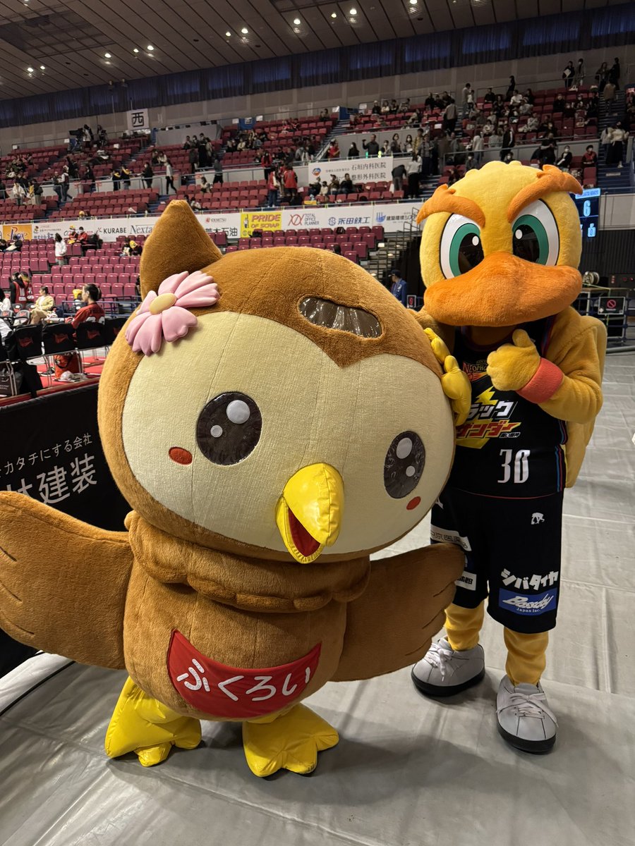 三遠ネオフェニックス🐤🔥SAN-EN NEOPHOENIX on X