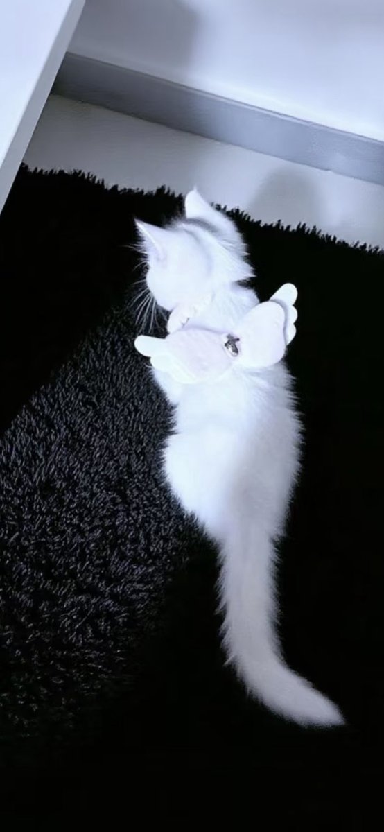 KilnSolo_ tweet picture