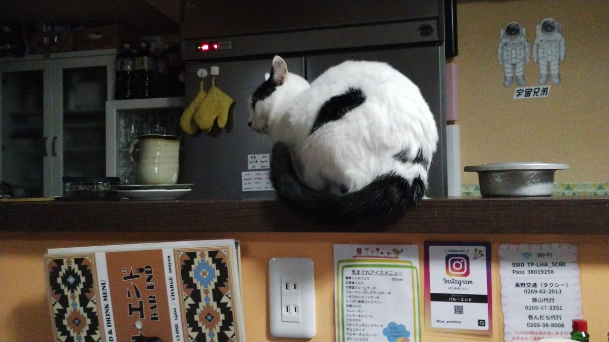 猫近暮らし on X