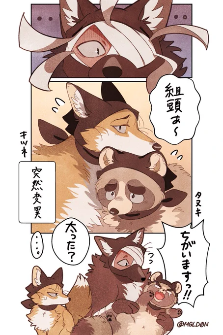 たぬきとキツネになっちゃった🐺隊(再掲) 