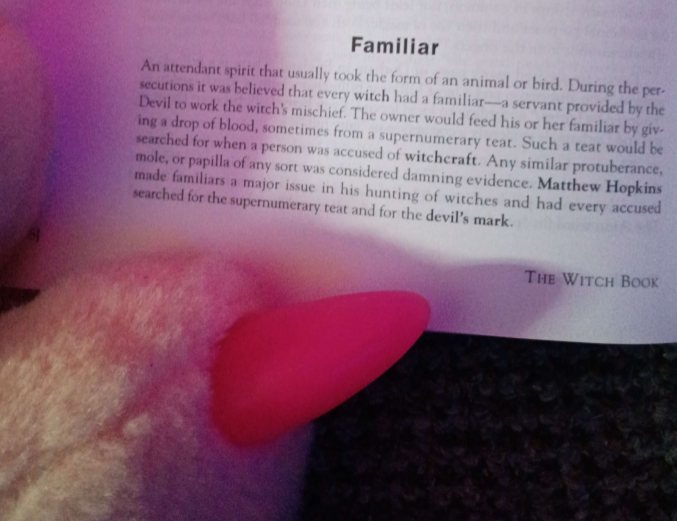 Citrine 🐈 🔜 AC tweet media