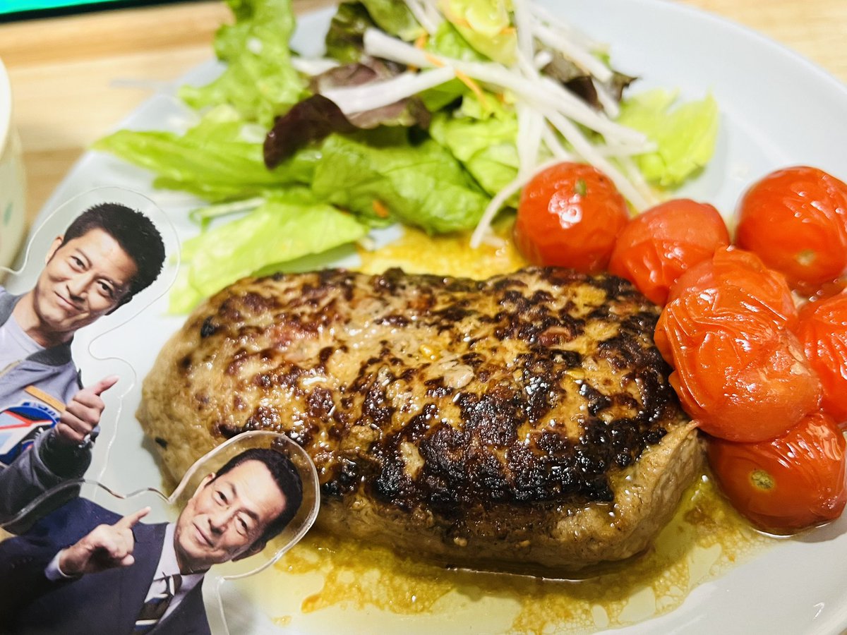 ねこばーぐページ 新しい猫の教科書 | 高野 八重子, シャナン |本 | 通販 | Amazon