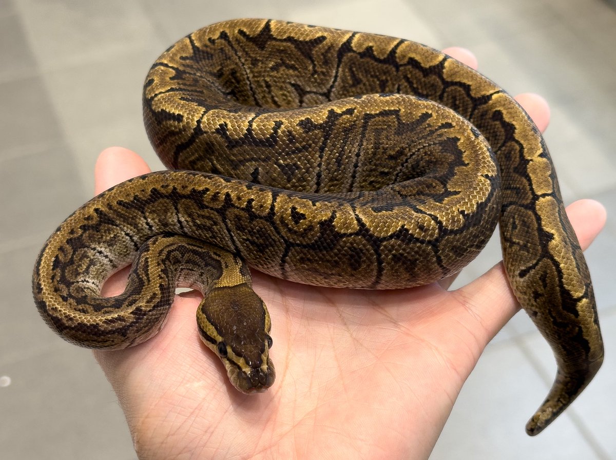 岡山JH開場しました〜！！

本日はよろしくお願いいたします🔥

入口すぐのブースでお待ちしております¨̮⃝