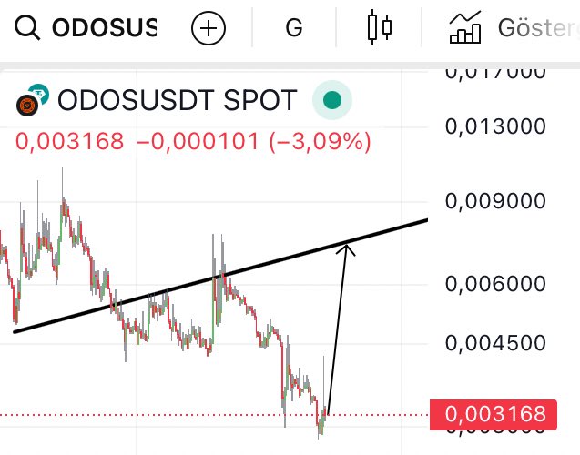 Kobayaşi 🇯🇵🐳🚀 tweet media