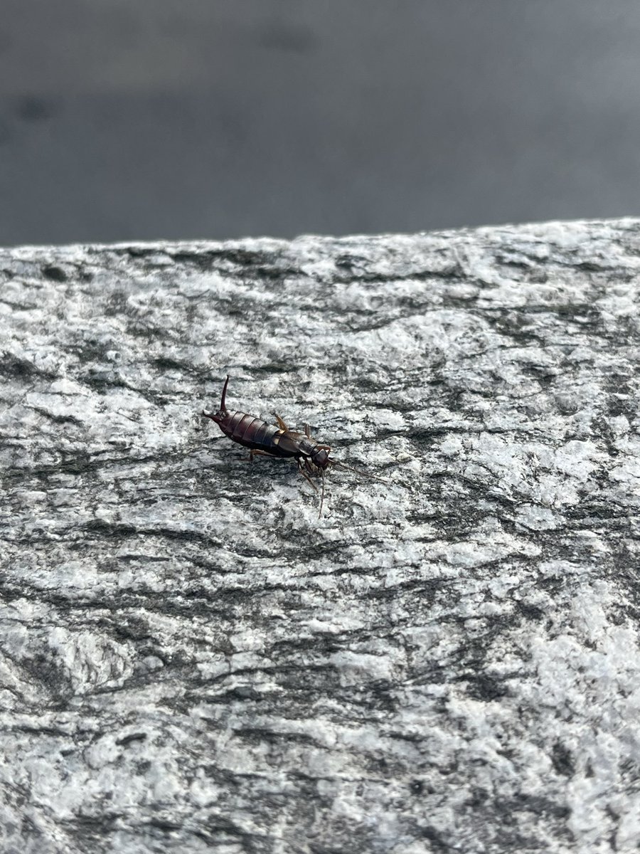 doge2themun's tweet image. #연수교육 다녀왔다. 
원주… 택시 기사님 때문에 살짝 문제가있었으나 무사히 마치고 버스 기다리는중…