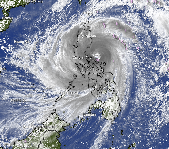 ASHA_EXE's tweet image. resilience?????