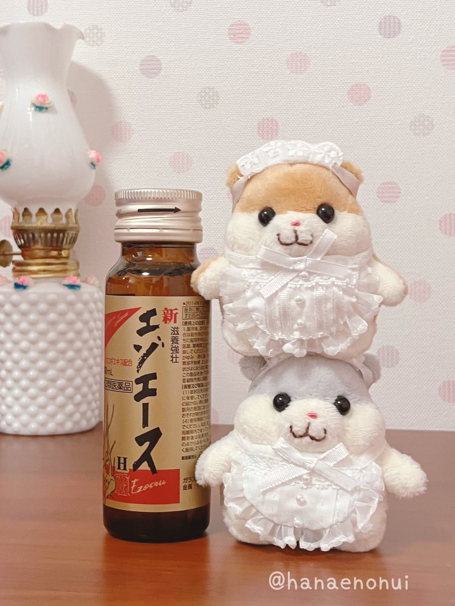 はなえのぬいぐるみ (@hanaenonui) / Posts / X