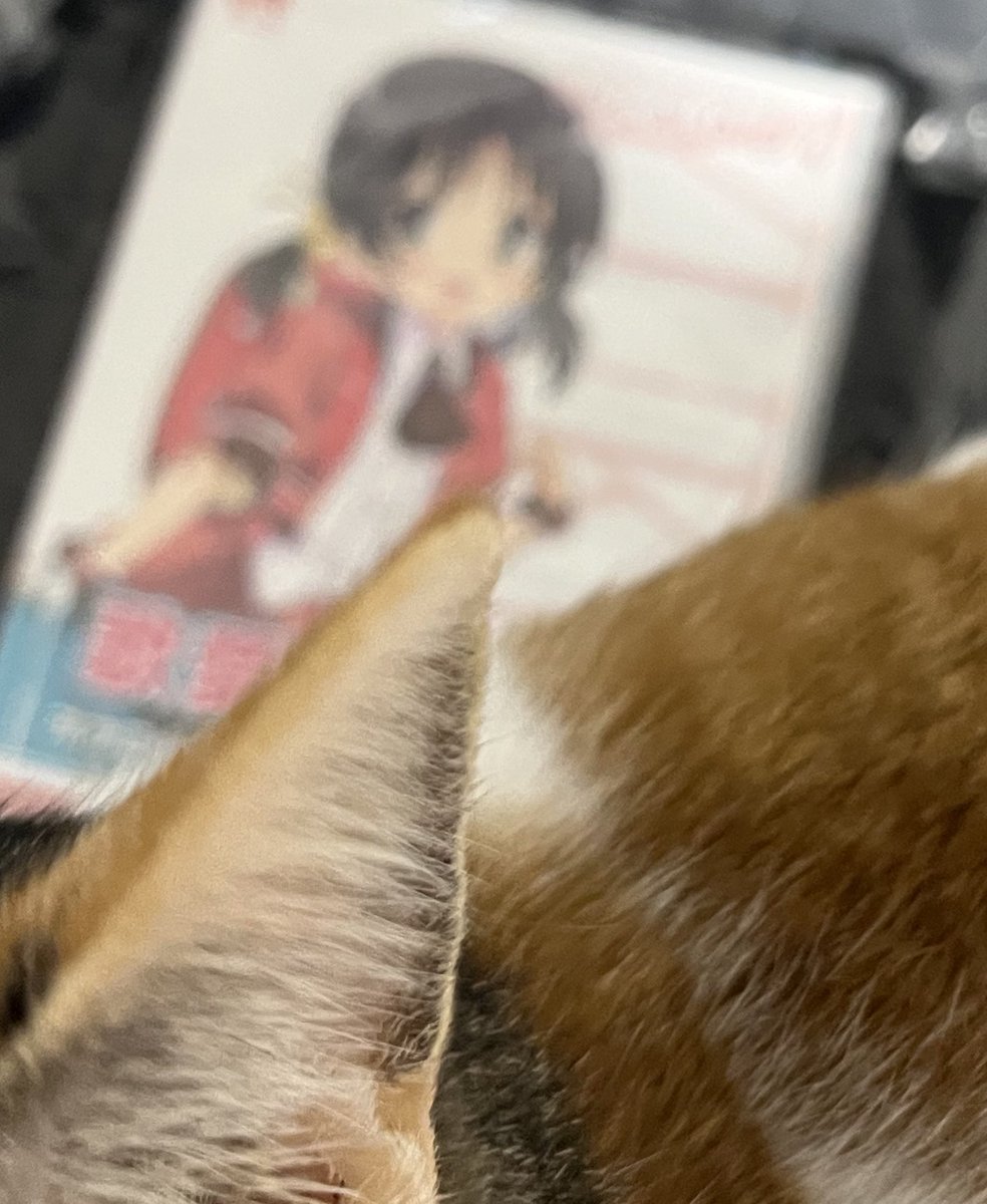 💯満点花丸💮 (@manten0hanamaru) / Posts / X