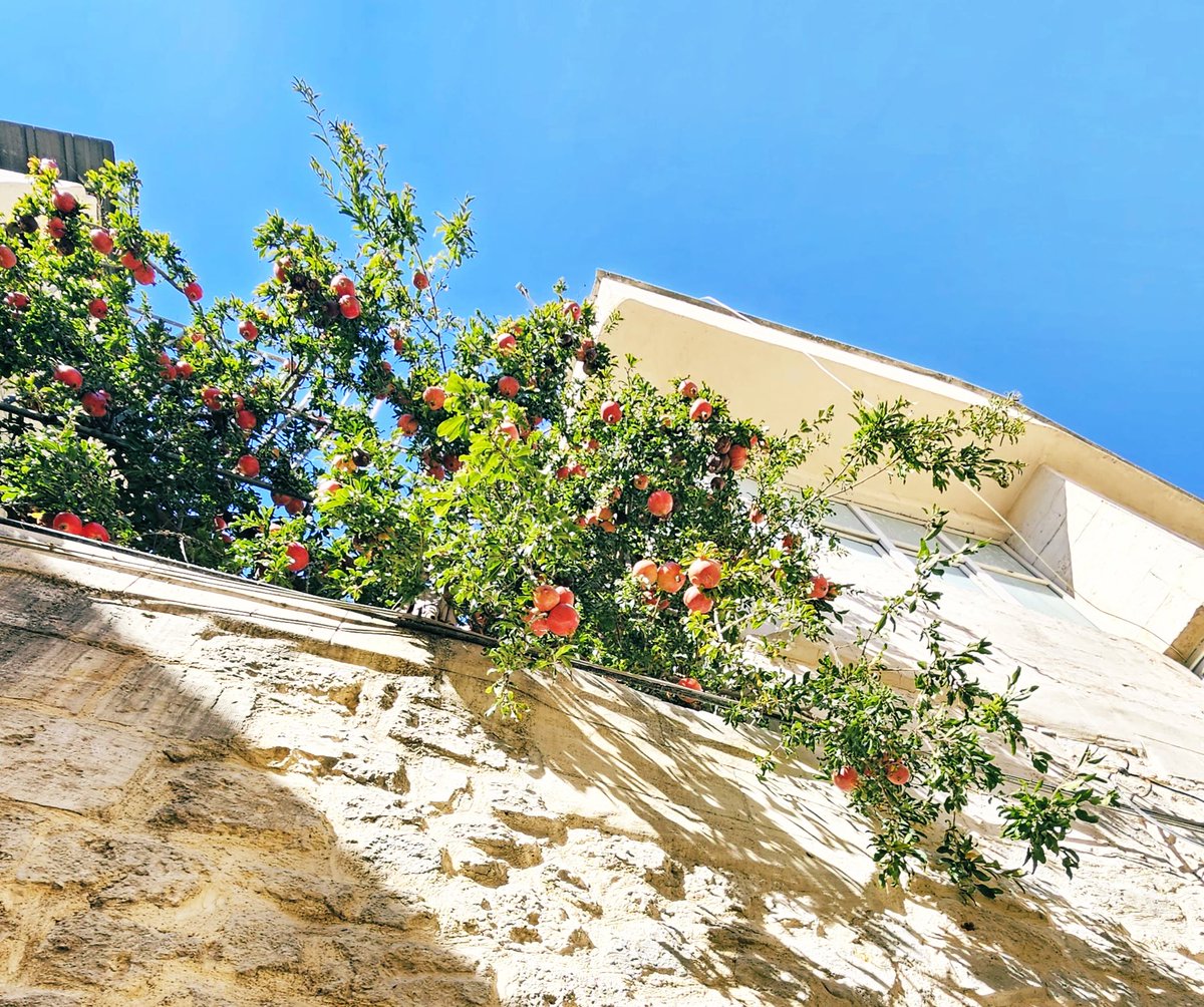 Bir arif kelamıdır;

“Zora talip olun,

Zorlukta güzelik vardır.”