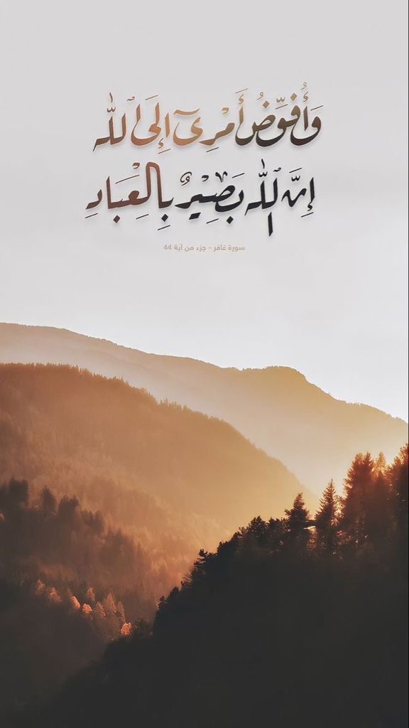 عائشة | Aisha🕊️📚 (@aishakhan7) on Twitter photo 