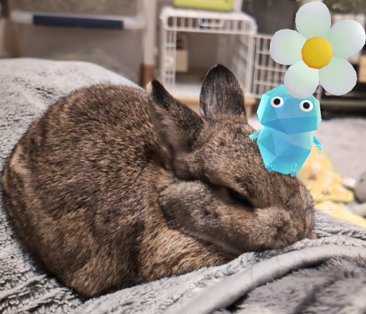 E6%B0%B7%E3%83%94%E3%82%AF%E3%83%9F%E3%83%B3