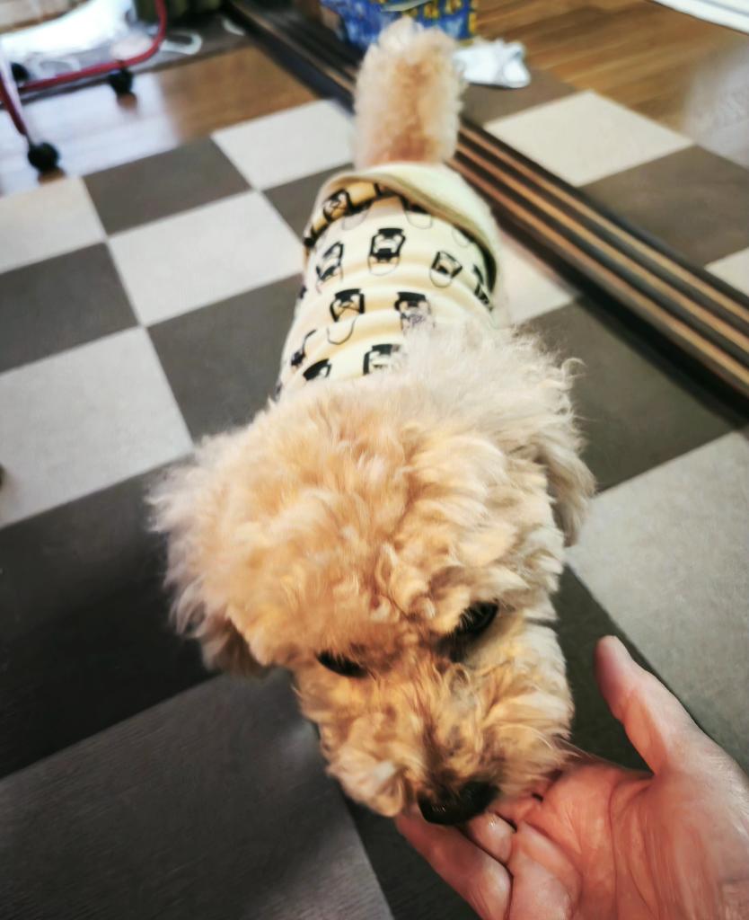 チャーリーママ on X