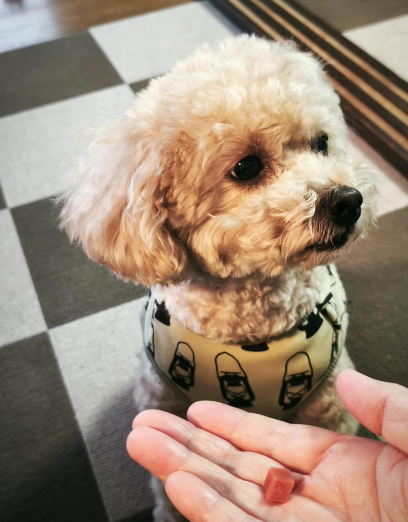 チャーリーママ on X