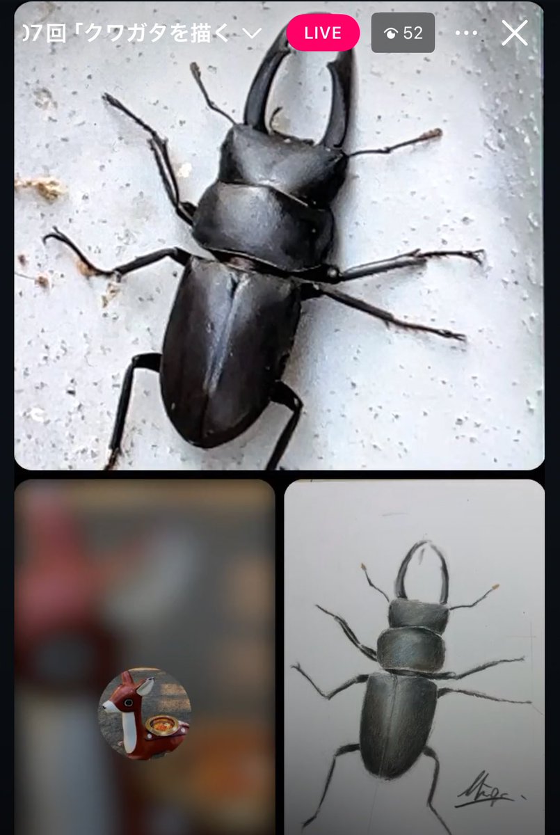 スジャーター@色鉛筆 on X