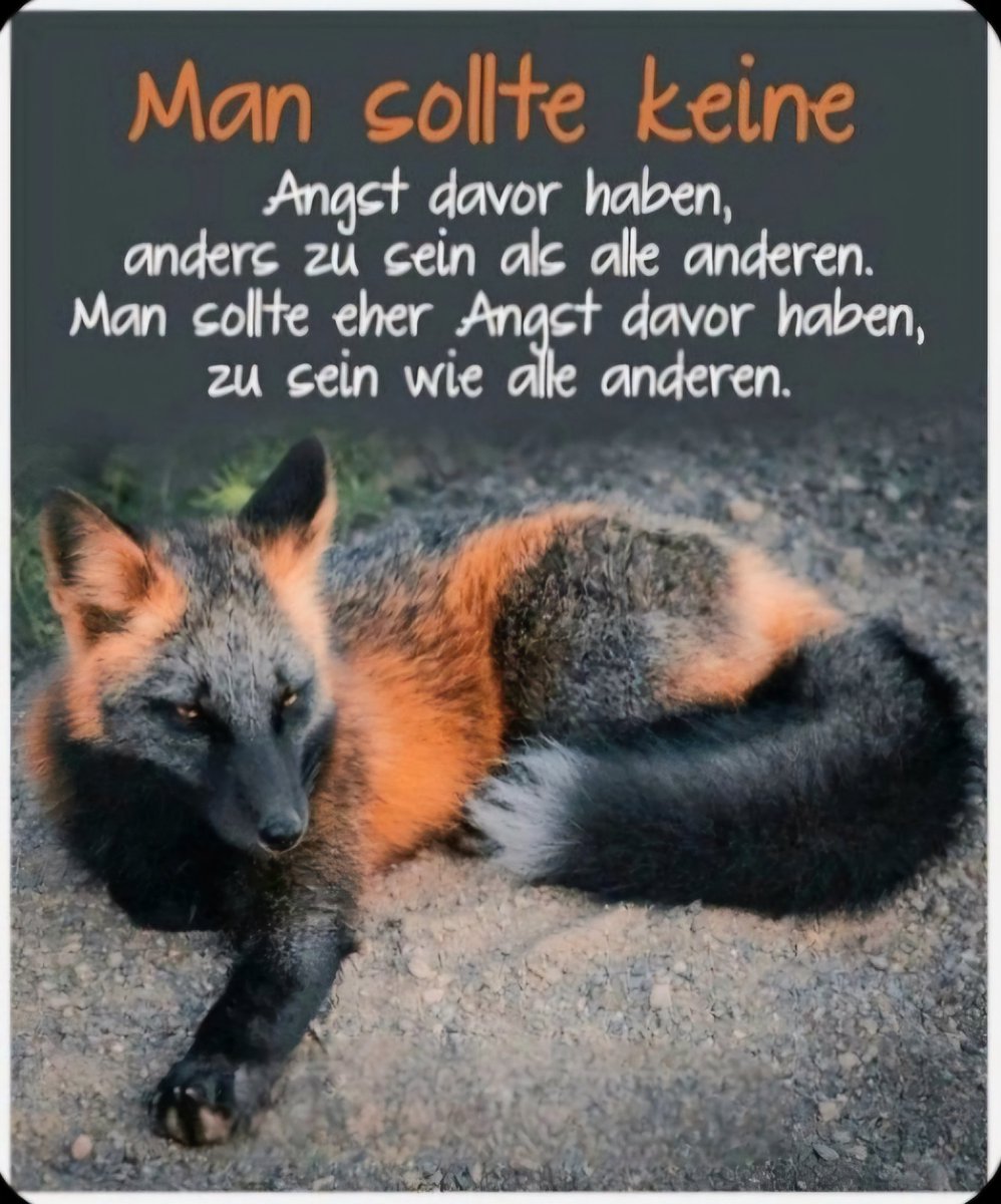 RosemarieWeisb1's tweet photo. 🥰 https://t.co/kH6LY8TUkN