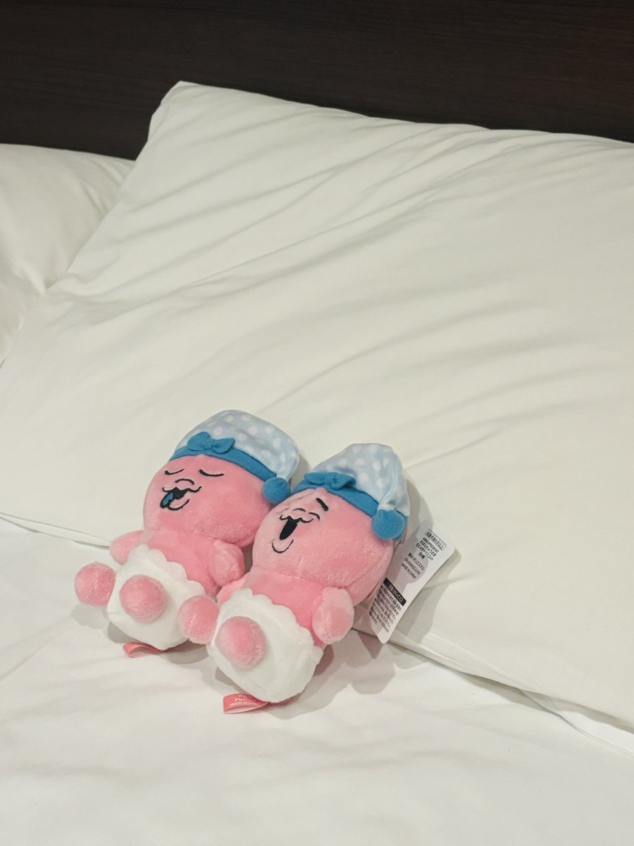 嵐々(らんらん) on X