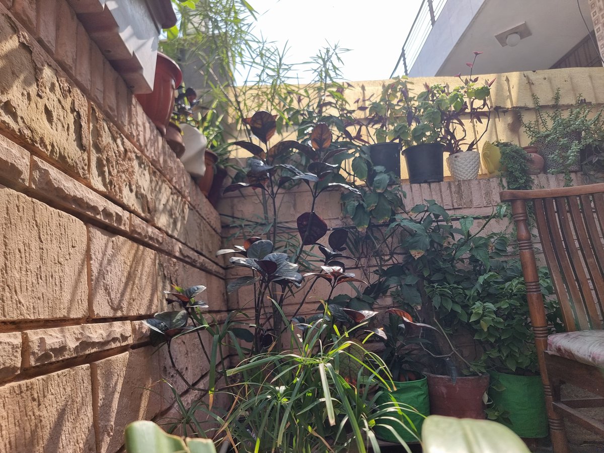 Bright clear sunshine has dispelled the #smog #Pollution for the day. It will return post 5 pm when the sun goes down.
#Faridabad #DelhiNCR