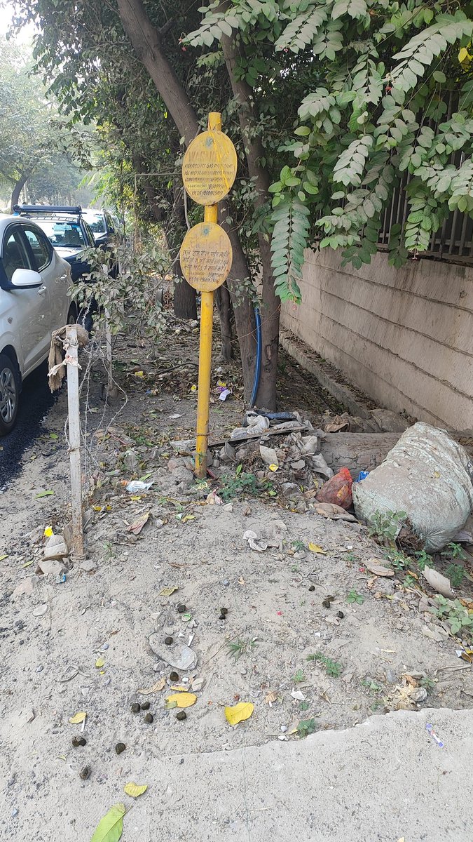 Mango Man *Amiit Gupta* tweet media